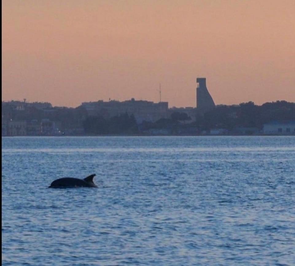 Al Mar 38 - The Fab Stay Brindisi Buitenkant foto